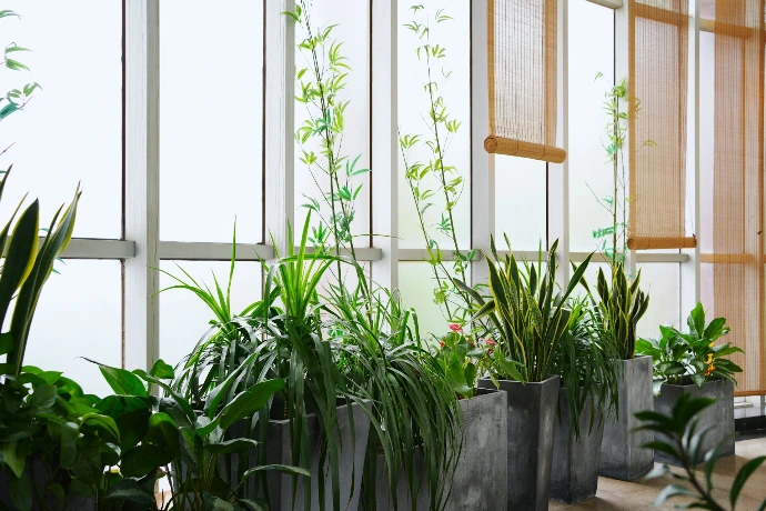 A room filled with lots of different types of plants
