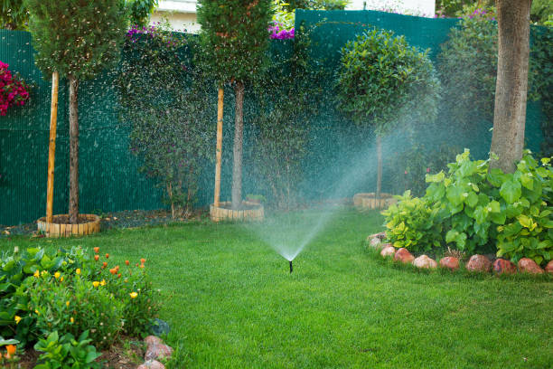 Irrigation services